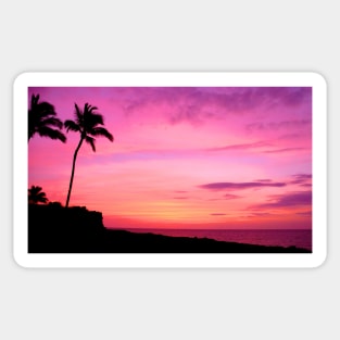 Tropical Palm Tree Silhouette and Sunset Sticker